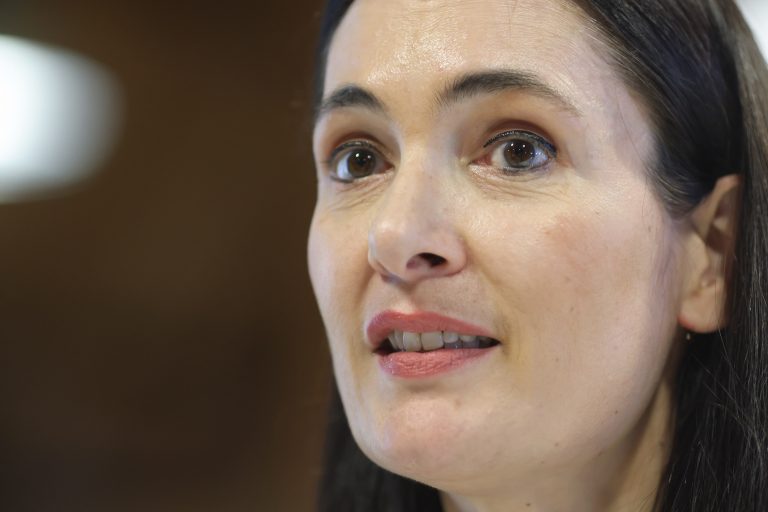 Clotilde Armand anunţă plângeri penale pentru Biroul Electoral, după ce reprezentanţii secţiilor de votare au stat cu orele la coadă, în soare, ca să valideze procesele-verbale şi să depună sacii cu voturi