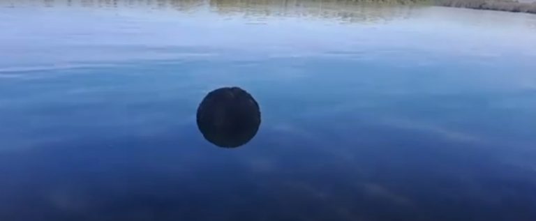 VIDEO | Descoperire surprinzătoare pe braţul Chilia Veche: Mina marină nu este fabricată nici în Ucraina nici în Rusia