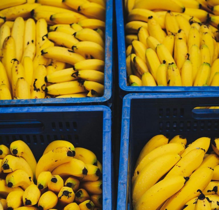 VIDEO | Producția globală de banane, în pericol