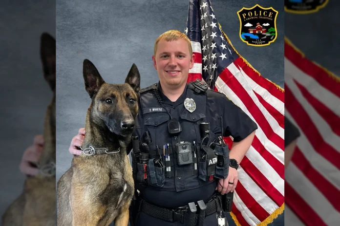 Suni, a female Belgian Malinois from Romania, is pictured alongside Officer Taylor White, of the Tea Police Department.Contributed / Tea Police Department