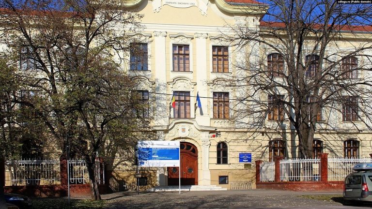 86 de elevi şi profesori de la o școală din Timişoara, la spital cu simptome de intoxicaţie / Nu se cunoaşte cauza