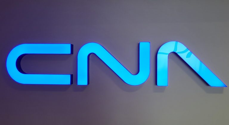 CNA are noi membri: Vasile Bănescu, din partea Guvernului, Daniela Bârsan, din partea Preşedinţiei, Georgică Severin, Monica Gubernat şi Lucian Dindirică, din partea PSD