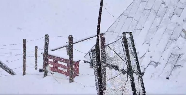 Peisaj de iarnă, aproape de jumătatea lunii mai, pe platoul Bucegi