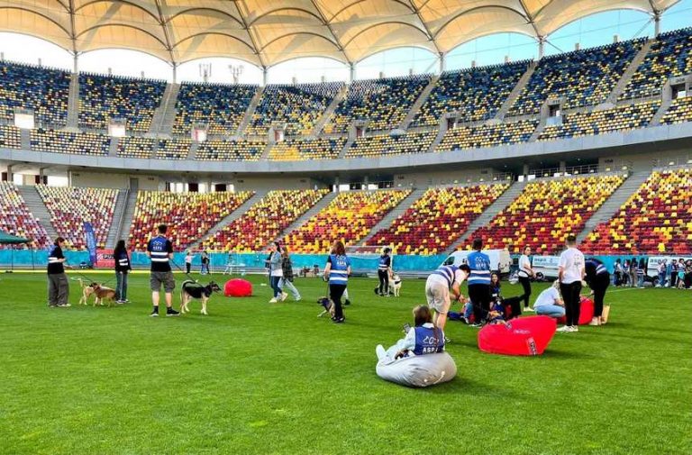 ASPA: Peste 50 de câini şi 20 de pisici, oferiţi spre adopţie în Bucureşti