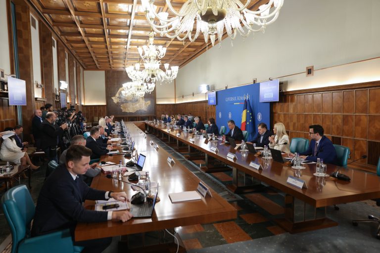 Guvernul a decis că se aplică în continuare impozitul minim pe cifra de afaceri pentru companiile mari / Capitalul social al SRL-urilor, în funcţie de cifra de afaceri netă / Cotă suplimentară de impozitare pentru marile averi