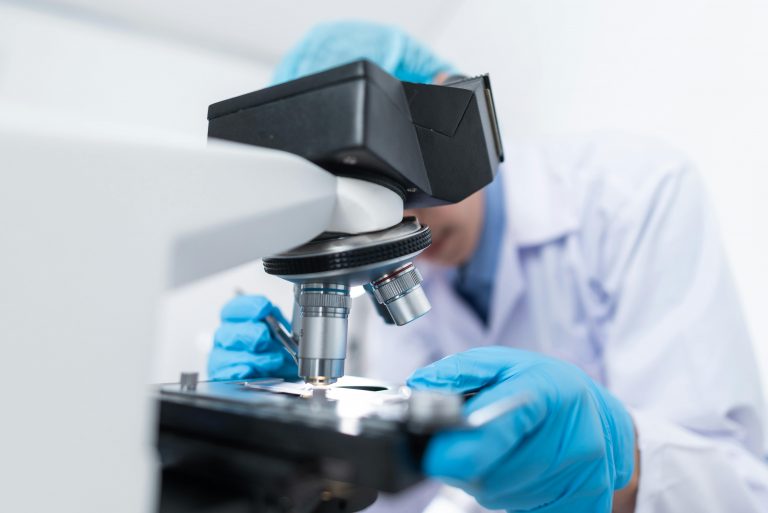 Premiră: măduvă osoasă funcțională, creată în laborator