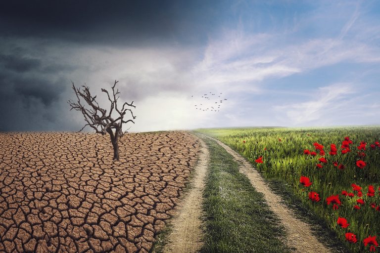 În ce parte a Pământului, dar şi a României am putea simţi mai puţin efectele schimbărilor climatice / Ce spun specialiștii