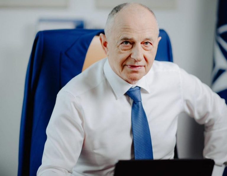 NATO official, presumed presidential candidate Mircea Geoana, faces plagiarism accusations