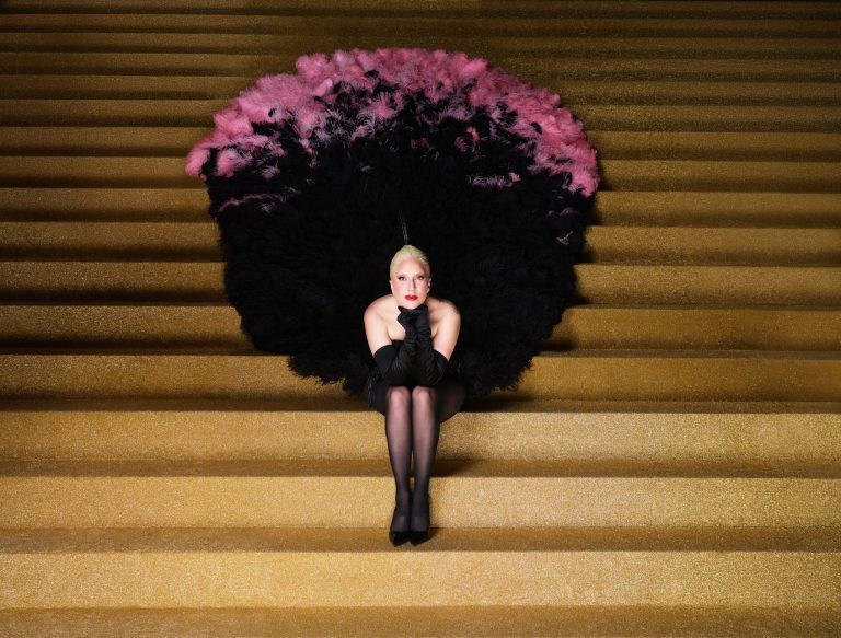 ”Vieţile lor sunt distruse sub ochii noştri”. Lady Gaga, atac la ICE în timpul unui concert