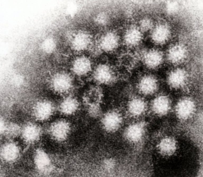 Focar de norovirus în regiunea Lacului Garda din Italia