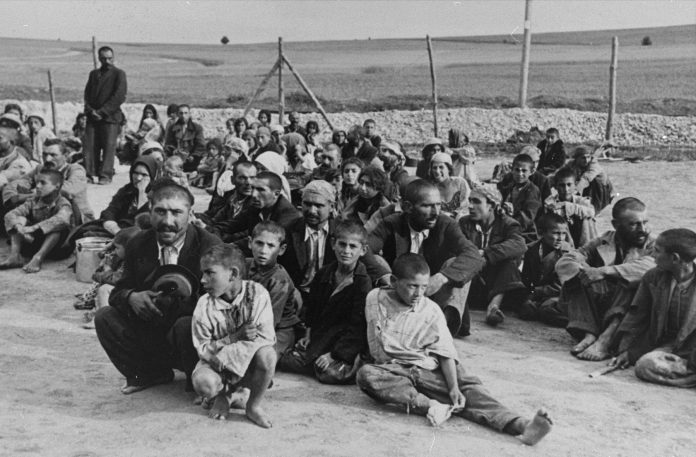 holocaust romi