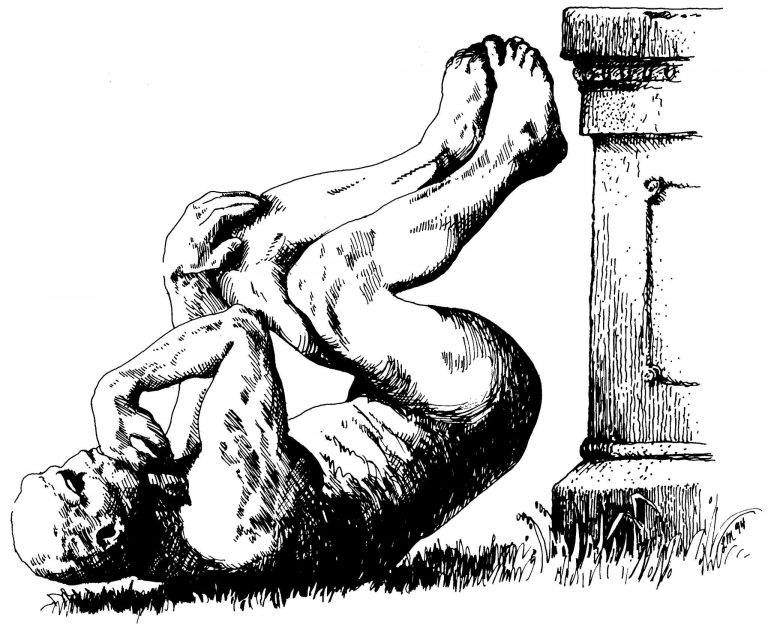 Ig Nobel 2024 – Studii privind rachetele ghidate de porumbei, abilităţile de înot ale peştilor morţi şi mamiferele care pot respira prin anus, printre câştigători