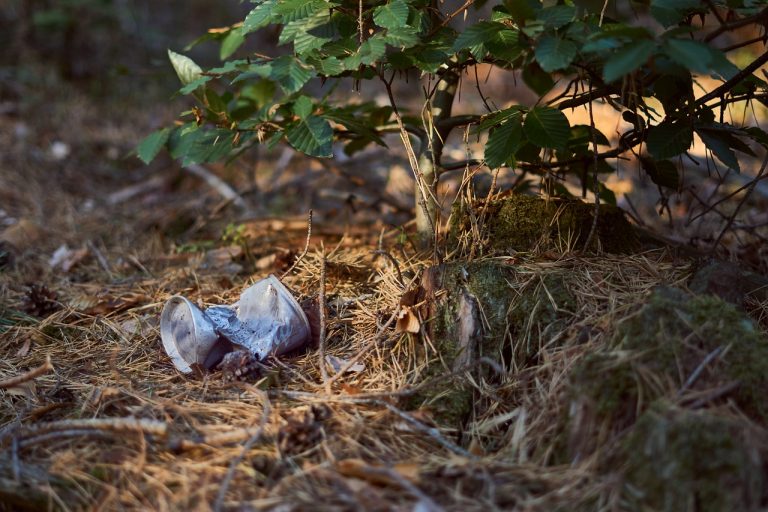 WWF: 60% dintre români cred că sancţiunile ar fi cea mai bună măsură împotriva aruncării gunoaielor în natură