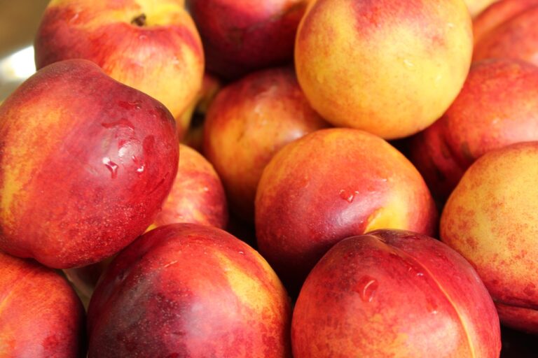 Nectarine din Turcia, cu nivel ridicat de pesticide, retrase din magazine Penny