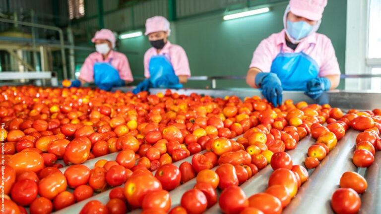 EPPO probes suspected €2 million tomato subsidy fraud in Romania