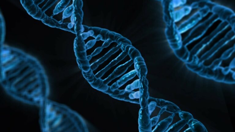 Cercetătorii au reuşit să proiecteze gene sintetice care funcţionează ca genele din celulele vii