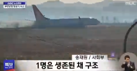 VIDEO | Tragedie aeriană în Coreea de sud, după ce avionul a lovit o pasăre