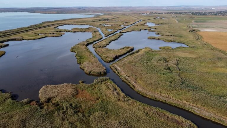 Two indicted for fraud in Romania involving funds for the development of the Danube Delta