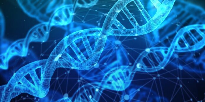 gene ADN