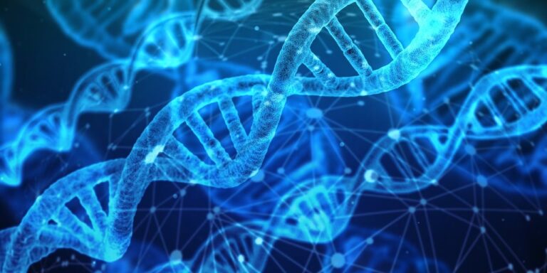 VIDEO | Epigenetica. Ne putem schimba genele?
