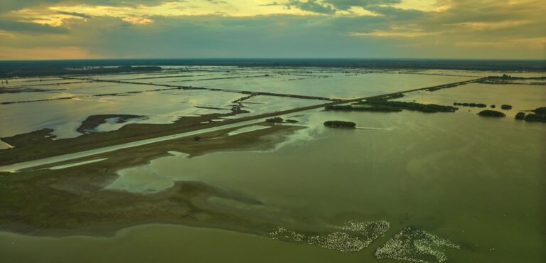 2,500 hectares of the Danube Delta at risk of disappearing overnight