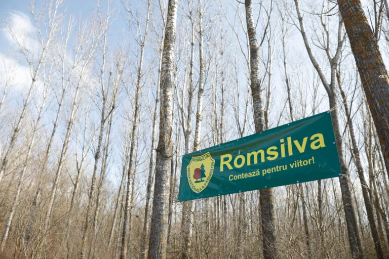 Premieră: Directorul Romsilva, selectat în urma unei dezbateri publice