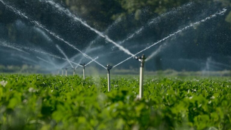 Six indicted in Romania for €1.7 million fraud involving irrigation systems