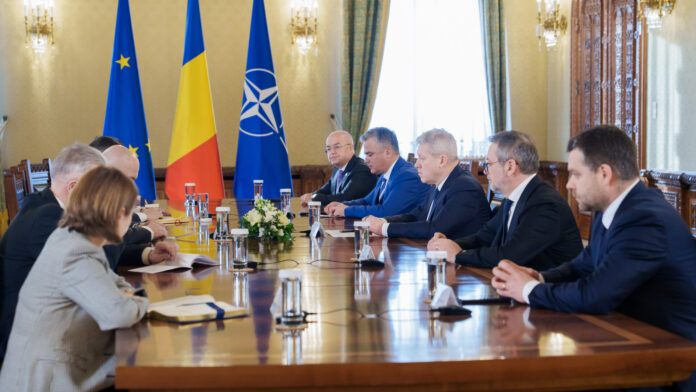 Cotroceni consultari pnl