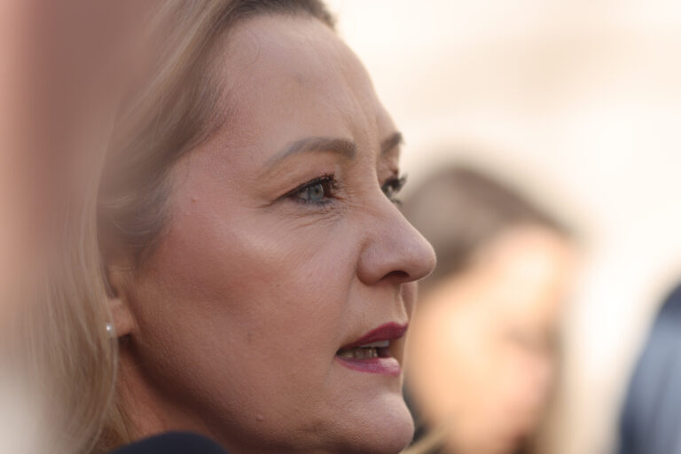 Elena Lasconi şi-a depus candidatura la alegerile prezidenţiale