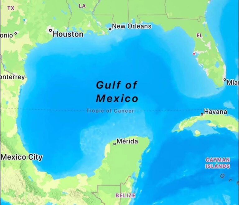 Mexicul dă Google în judecată din cauză că a schimbat numele Golfului Mexic în ”Golful americii” pe Google Maps în SUA