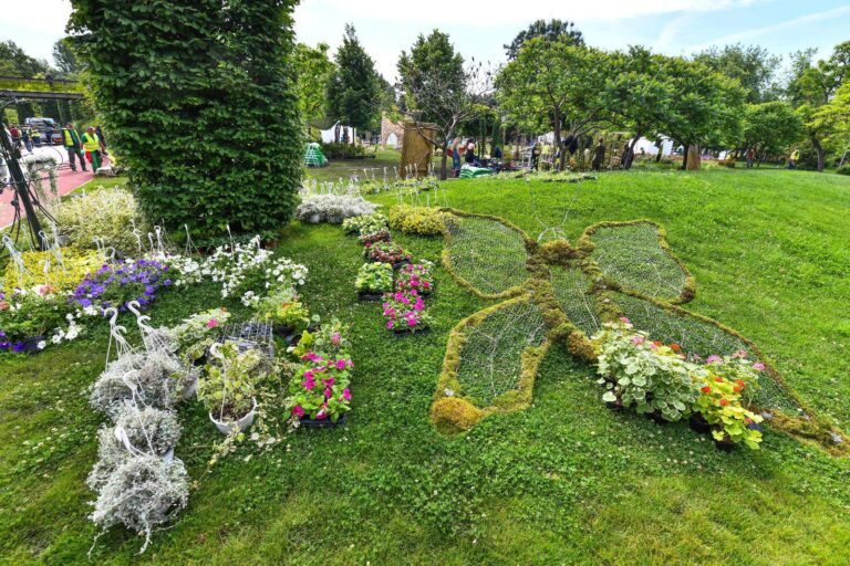 „West Side Flower Fest”, în Parcul Drumul Taberei, în weekend