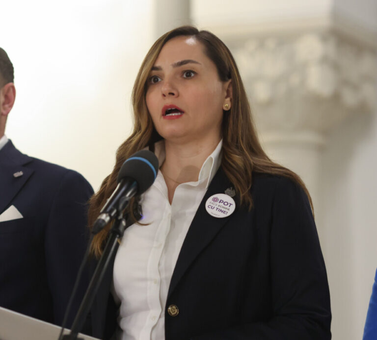 Anamaria Gavrilă, după consultările de la Cotroceni: POT va vota un program de guvernare care întruneşte anumite condiţii