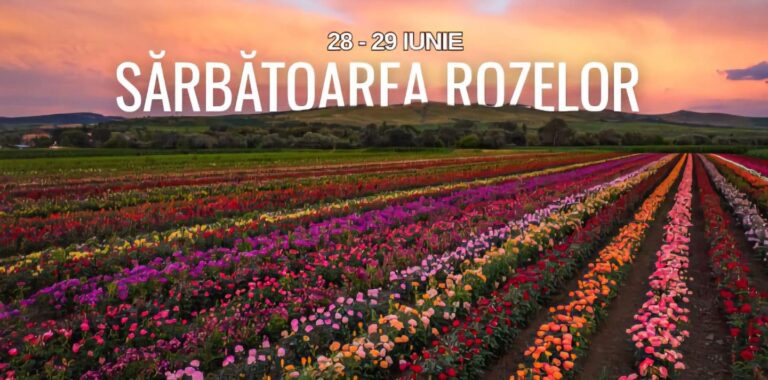 Sărbătoarea Rozelor 2025, la Aiud