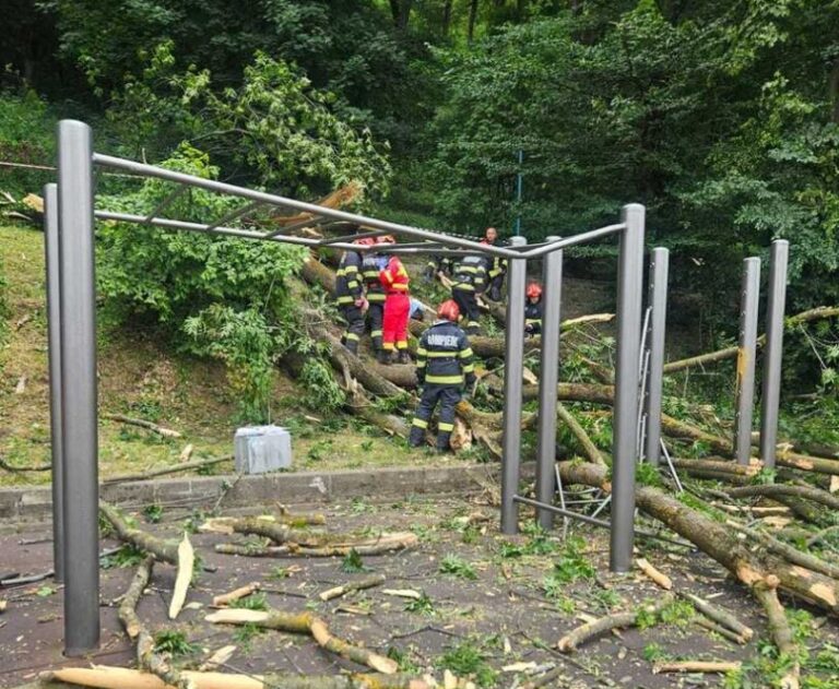 Tragedie în Brașov: Un tânăr de 27 de ani a murit după ce un copac a căzut peste el, pe „Aleea de sub Tâmpa” / O femeie a fost rănită