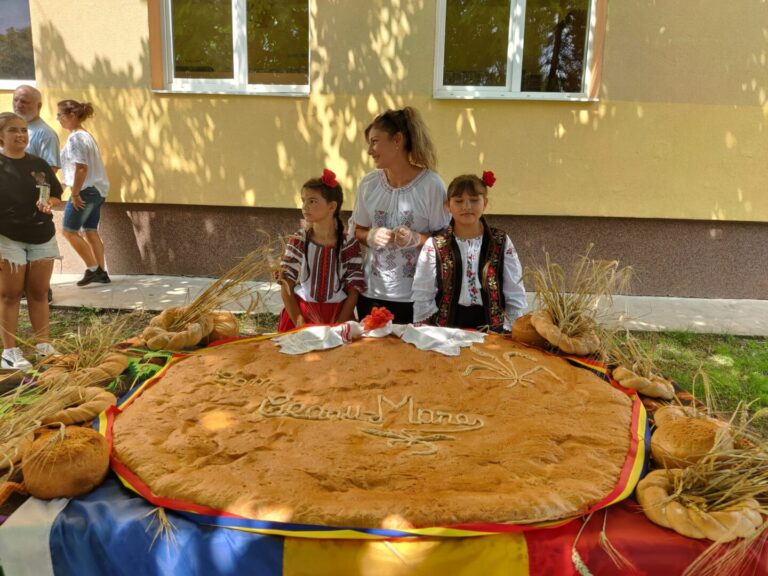 Legătura dintre un Palaneț Uriaș, Ziua Eroilor și fostul cancelar german Schröder