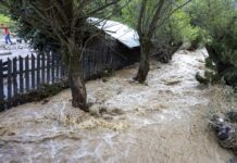 Bilanț DSU după ploile de sâmbătă: Peste 200 de curţi inundate, 10 copaci prăbuşiţi pe carosabil, o alunecare de teren care a afectat un drum comunal