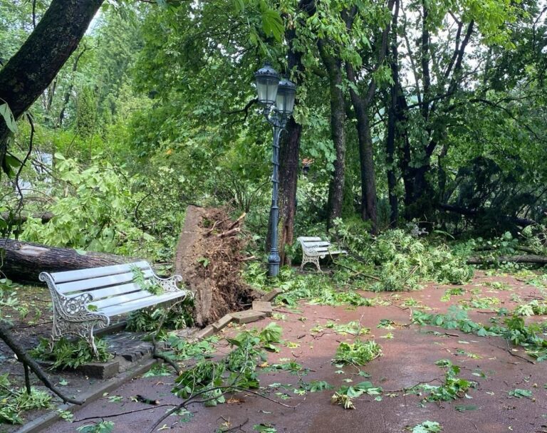 Parcul din centrul oraşului Sinaia, închis după furtuna violentă / Trafic restricţionat pe mai multe străzi, din cauza copacilor căzuți