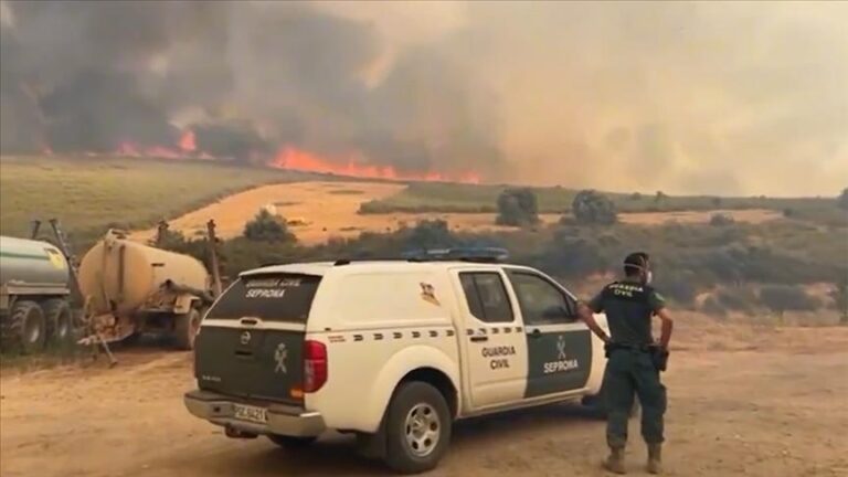 Over one million hectares burned in EU forest fires this year; Romania the 3rd most affected
