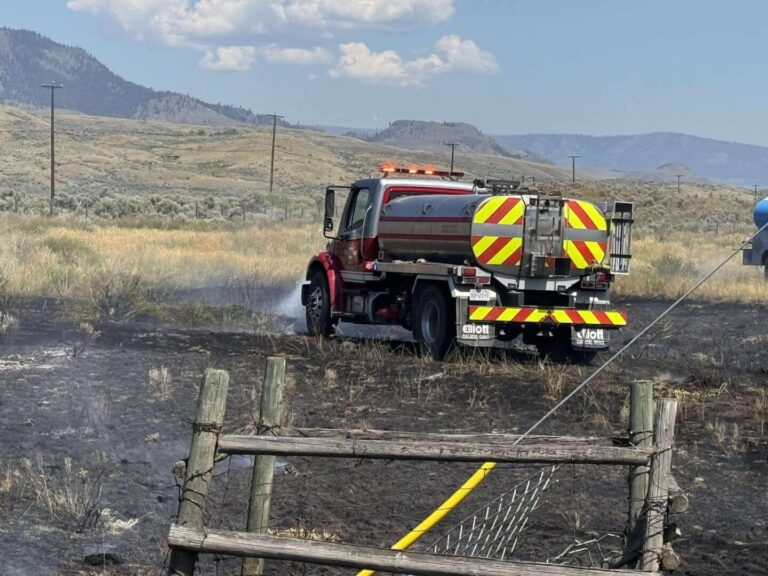 FOTO | Un pește căzut din cer a provocat un incendiu în Canada
