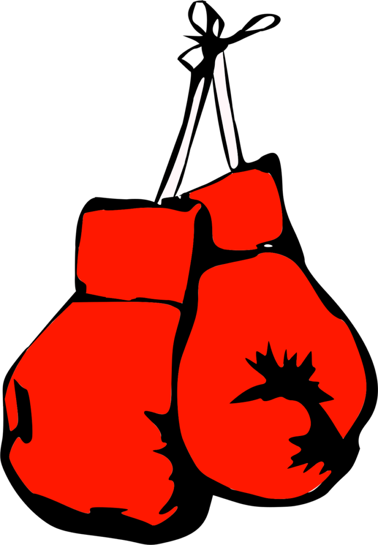 Doi pugilişti japonezi au murit la câteva zile după ce au luptat unul cu celălalt
