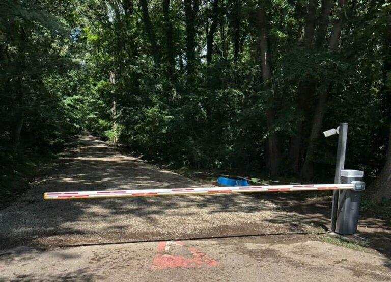 Corpul de Control al Ministerului Mediului a constatat că drumul forestier din Pădurea Băneasa include un tronson pentru care nu există documente legale, fiind cauzat un prejudiciu