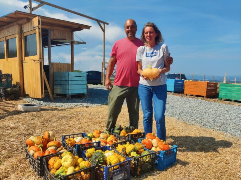 „Pumpkin Hill” de Transilvania: povestea unei familii întoarse din SUA care a făcut din dovleci o frumoasă afacere