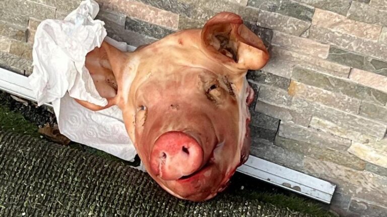 Capete de porc, descoperite în fața unor moschei din Paris