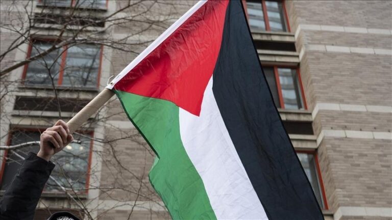 Steaguri ale Palestinei, ridicate în faţa unor primării în Franţa