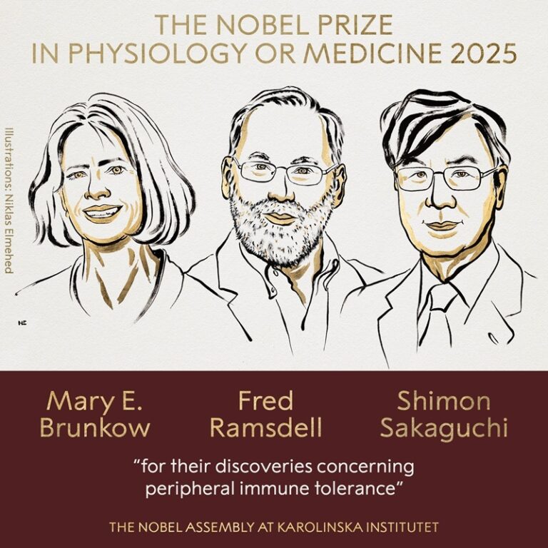 Premiul Nobel pentru Medicină 2025 a fost câștigat de trei cercetători, „pentru descoperirile lor privind toleranţa imunitară periferică”