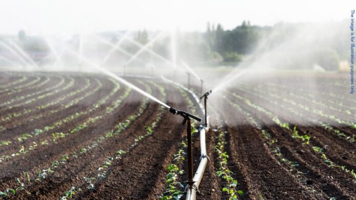 Romania: Three indicted in €1.2 million fraud involving irrigation systems