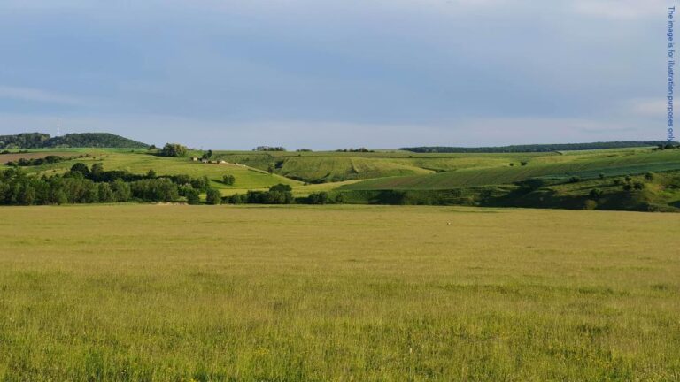 Romania: Official from agricultural agency indicted for persuading farmers to participate in subsidy fraud scheme