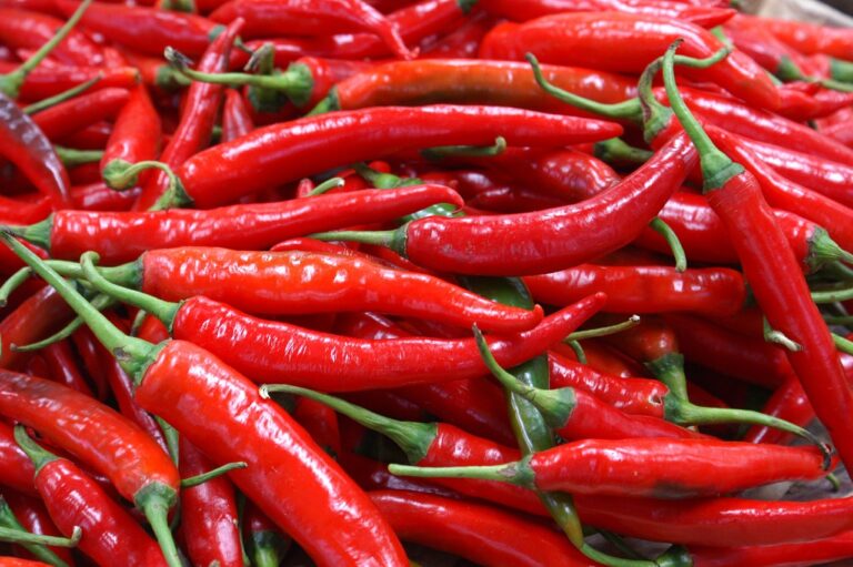 O limbă artificială care măsoară iuțeala alimentelor, creată de oameni de știință chinezi
