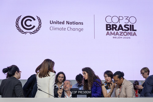 Țările reunite la COP30 au adoptat un acord climatic, dar fără un plan de eliminare a combustibililor fosili