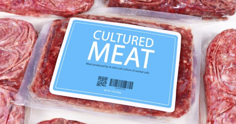 GRAFIC | Ungaria interzice producția și vânzarea de carne cultivată în laborator